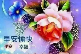 中老年表情包：无论何种感情，要走的人你留不住图片