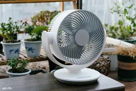 风，没有方向的吹来——米家直流变频循环扇体验图片