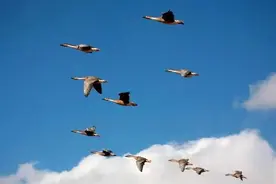 杭州重高的尴尬图片