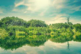 第三章 哥们的喜怒哀乐（一、壹壹咖吧的神秘客）图片