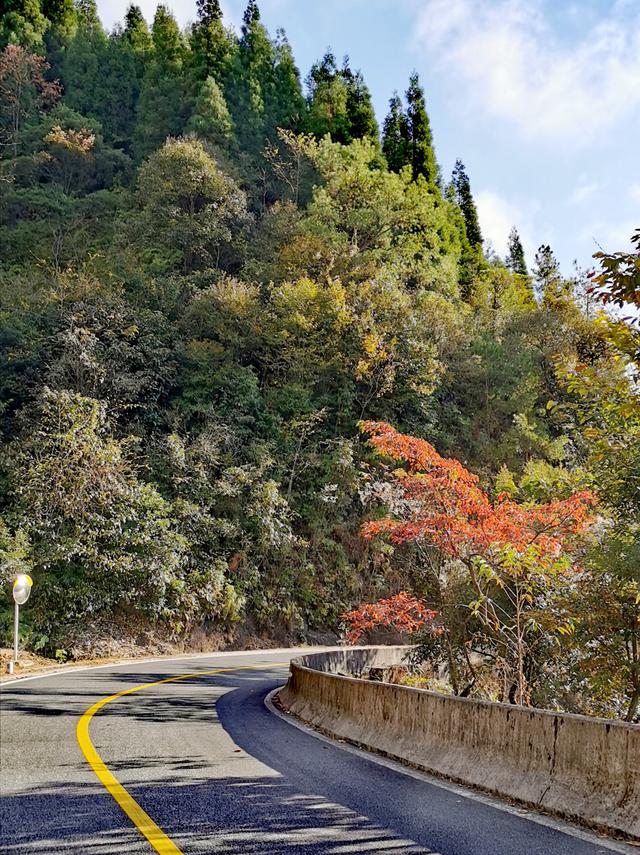 只有10%广东人才知道的粤北“云海天池红叶”，让人一眼沦陷