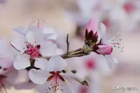 如果父母依旧辛苦，我们长大的意义何在？图片