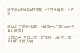 不吃饭运动到底好不好图片