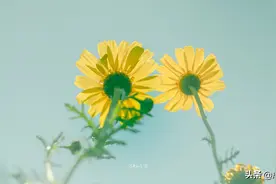 如果，你总是放不下一个人，那就去“撞南墙”吧图片