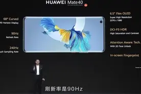 华为 Mate 40/Pro/Pro+ 屏幕参数公布：90Hz 刷新率，88° 曲面屏图片