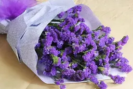 异性眼里的高级女人，通常有三个特殊爱好图片