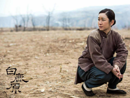 白鹿原电视剧演员表，白鹿原演员表（原定女二被换、董洁戏份被删）