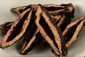 湘潭槟榔的起源、发展和现状以及吃槟榔好不好呢？图片