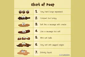 便血——不可忽视的危险信号图片