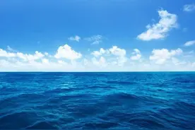 “压”不死的深海动物，它们为什么会在深海游刃有余的生活？图片