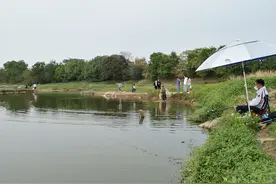 东莞生态园寒溪河野钓，小罗非拉到爆，一放就咬图片