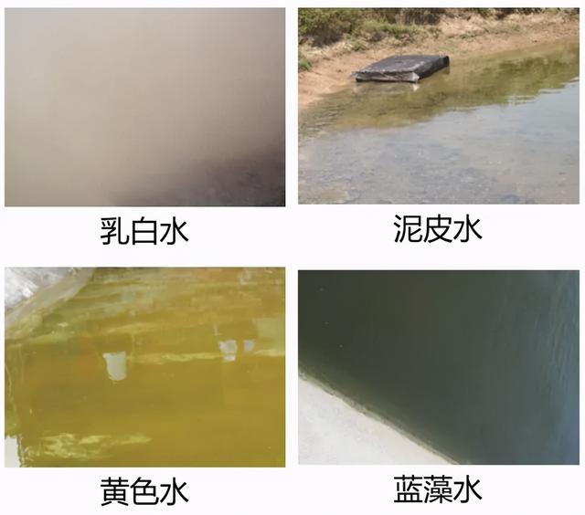 养殖难肥水，不妨用以下方法