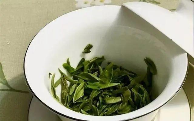 养分含量超高的营养土，自己在家也能做，省下一大笔 买花钱