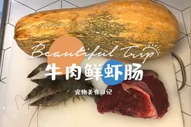 牛肉鲜虾肠，宠物的健康是可以蒸出来的！南瓜还能这么吃图片