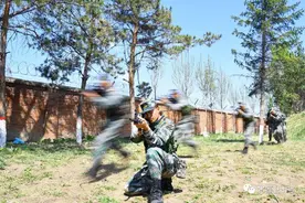 一出炉就是好钢​图片