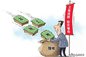 ​农村还没确权的土地怎么办？土地确权有4点作用，这些知识要知道图片
