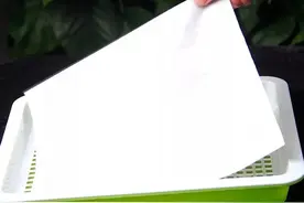 农村美女纸上种菜一天收入四千，家里闲置房屋打造微工厂，不简单图片