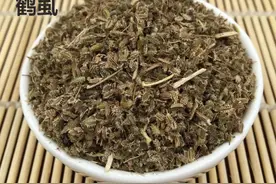每天学习一味中药——鹤虱（附鉴别用药）图片