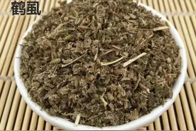 每天学习一味中药——鹤虱（附鉴别用药）图片