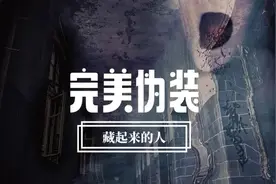 完美伪装：藏起来的人图片
