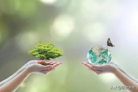 跟80岁爷爷学“手跑”图片