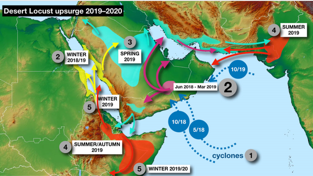 澳洲母牛开始吃蛇，专家称缺乏营养，是真的吗？这预示着什么？