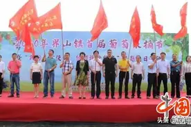 泉港界山镇：首届葡萄采摘节 主题党日甜蜜助农图片