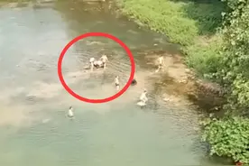 新宁落水父女命悬一线 城管市民奋勇相救图片