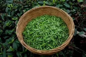 石沁台端砚茶盘：湄潭翠牙泡茶技巧图片
