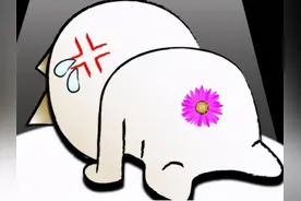 【科室之窗】疼痛？便血？脱出？PPH微创手术为您解除难言之隐图片