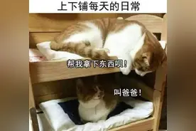 大学宿舍，一个“藏龙卧虎”的地方：室友除了学习，啥都会图片