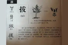 一字方圆之“拔”：拔苗助长，适得其反图片