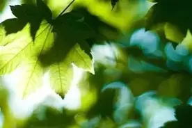「科普」和宝妈聊聊孩子发热的那些事儿图片