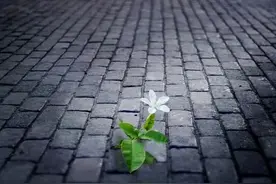 45岁女人：婚外情结束后还时不时联系情人，是我做的最愚蠢的决定图片