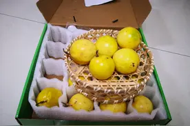 东北人网购“百香果”，表示太难吃，被南方人看到：不会吃别乱说图片