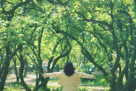 4月18日恢复开放！郑州樱桃沟景区焕新归来图片