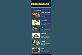 这首Rap太绝了吧！“00后”音乐人热血演绎《销毒》！图片