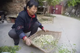 河南山村大妈的晚饭，五个鸡蛋炒槐花，配上咸粥吃得有滋有味图片