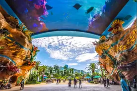 夏天与海更配，珠海长隆海洋王国度过清凉一夏，与海底动物做朋友图片