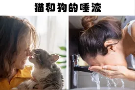 乍看之下好像无害，但其实是非常危险的7件事物图片