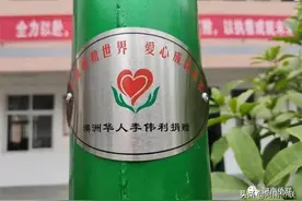 澳大利亚华人李伟利为叶县乐煕侨心小学捐助2盏5G智能化路灯图片