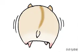 仓鼠越狱了还回笼子跑转轮！我画的我家6只仓鼠的漫画图片