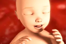 孕期肚子一弹一弹，是胎宝在踢腿吗？看完可能有点想笑视频封面