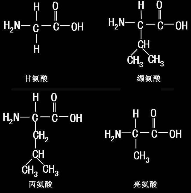 鏂板瀷鍐犵姸鐥呮瘨71锛?0绉嶆皑鍩洪吀锛岀敇姘ㄩ吀锛屼笝姘ㄩ吀