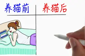 一对比，养猫后生活更有趣呀！哈哈