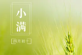 当孕期遇上小满节气，孕妇怎么吃更健康？图片