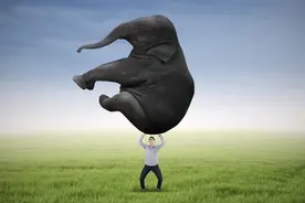 印度学中国大修地铁，结果亏惨了图片