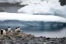 南极冰下出现不明未知生物，刷新人类生命认知，可能来自外星吗？图片