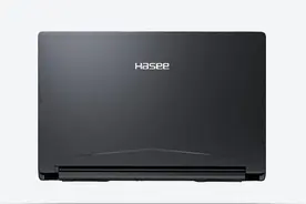 九代U还能战！配RTX2060游戏本，神舟不到6K真香船图片