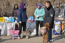 农村泰迪一只拉车，一只背筐陪主人赶大集，一眼认出了“恩人”图片